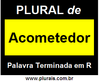 Plural de Acometedor