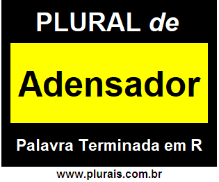 Plural de Adensador