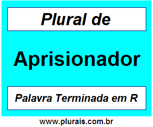 Plural de Aprisionador