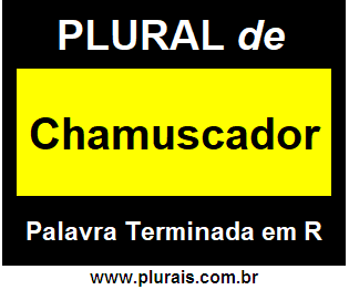 Plural de Chamuscador