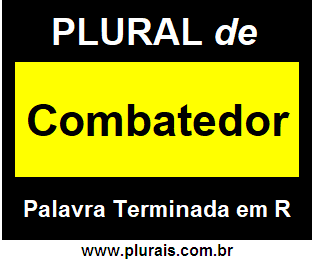 Plural de Combatedor