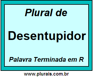 Plural de Desentupidor