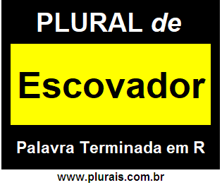 Plural de Escovador