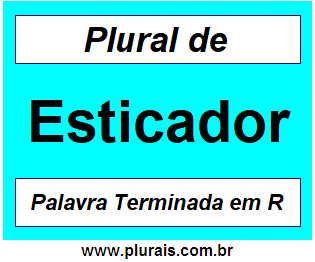 Plural de Esticador