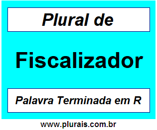 Plural de Fiscalizador