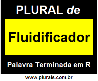 Plural de Fluidificador