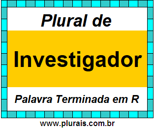 Plural de Investigador