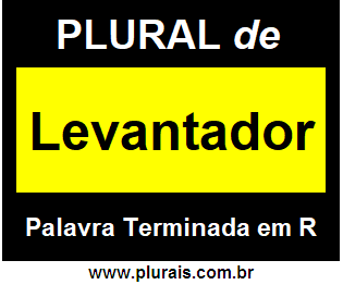 Plural de Levantador