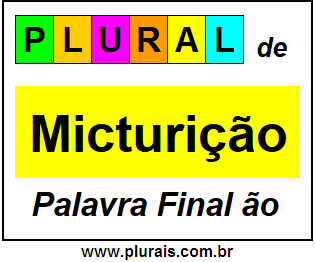 Plural de Micturição