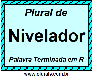 Plural de Nivelador