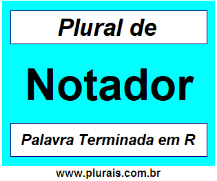 Plural de Notador