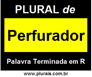 Plural de Perfurador