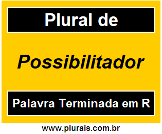 Plural de Possibilitador