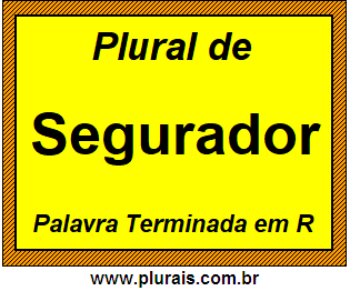 Plural de Segurador