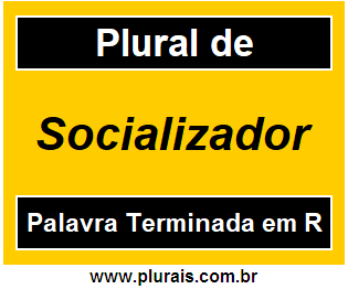 Plural de Socializador