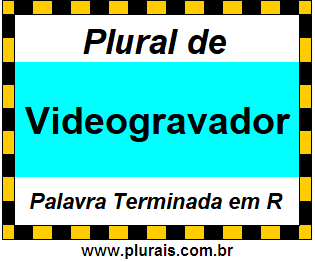 Plural de Videogravador